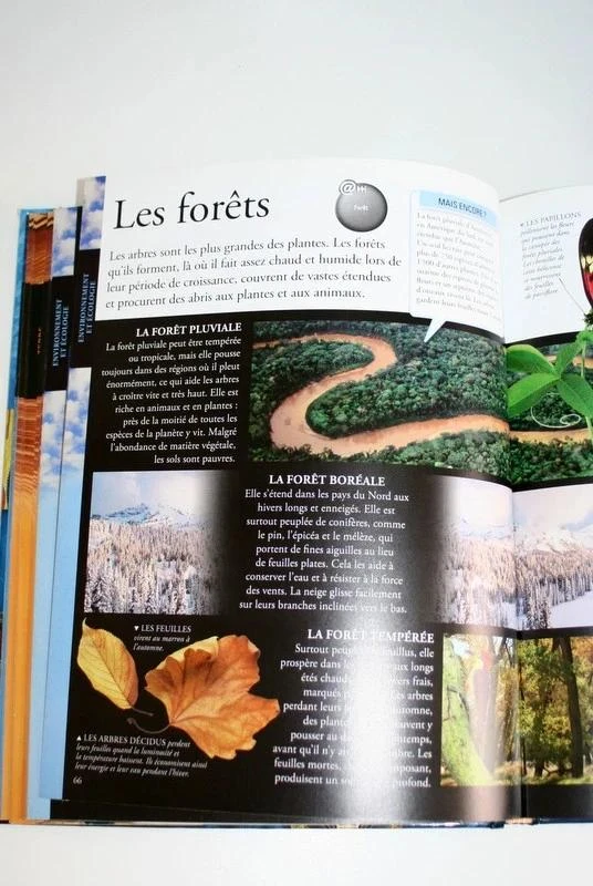De Grote Encyclopedie van Gallimard Jeunesse – photo 7